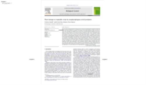 Plant damage to vegetable crops by zoophytophagous mirid predators